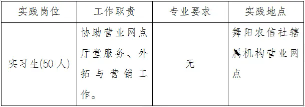 2024年舞陽縣大學生“返家鄉”暑期社會實踐招聘公告(舞陽農信社專版)